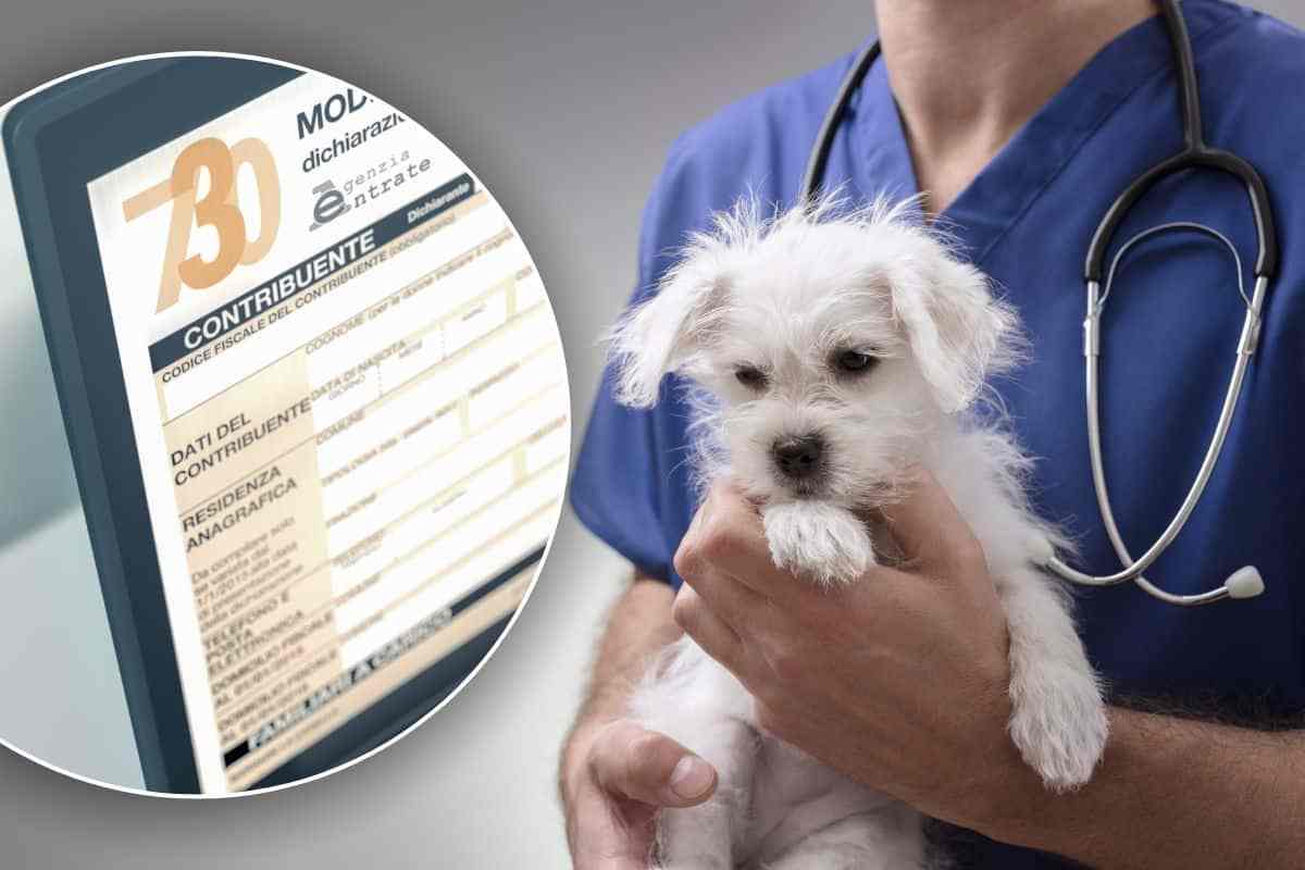 Quali spese veterinarie s possono detrarre